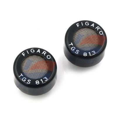 TGS813 Ev içi gaz sızıntısı tespiti için yarı iletken gaz sensörü taşınabilir gaz tespiti