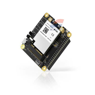 YJJ RAK5146 PiHAT konsantratör modülü, sensör verisi toplama için LoRaWAN için uygundur