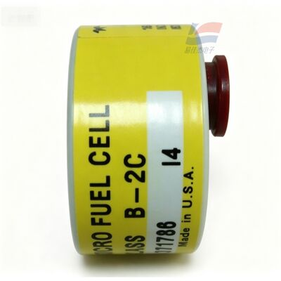 YJJ C06689-B2C Sınıf B-2C Yarı İletken Elektronik Üretimi için 0-10ppm İz Oksijen Sensörü